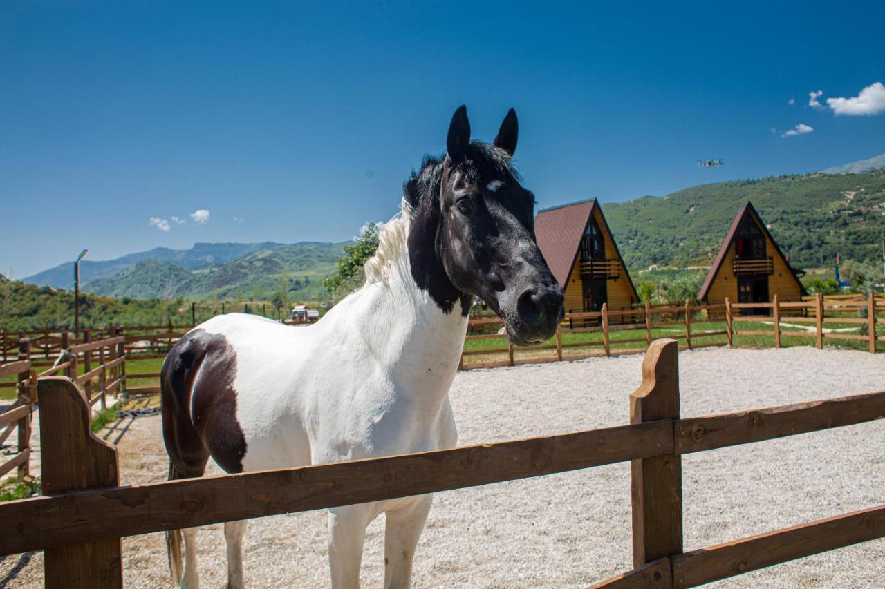 Sancho Farm Albania Villa Memaliaj Dış mekan fotoğraf