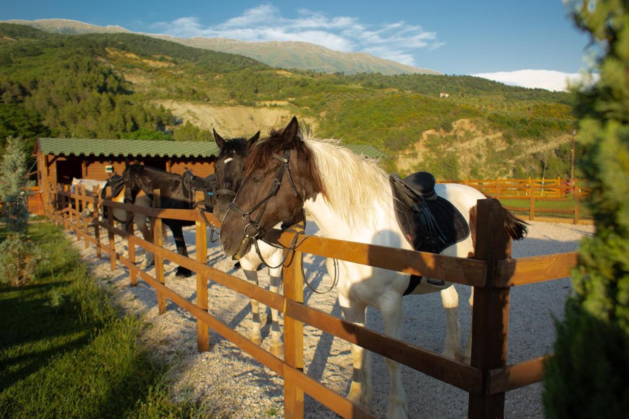 Sancho Farm Albania Villa Memaliaj Dış mekan fotoğraf