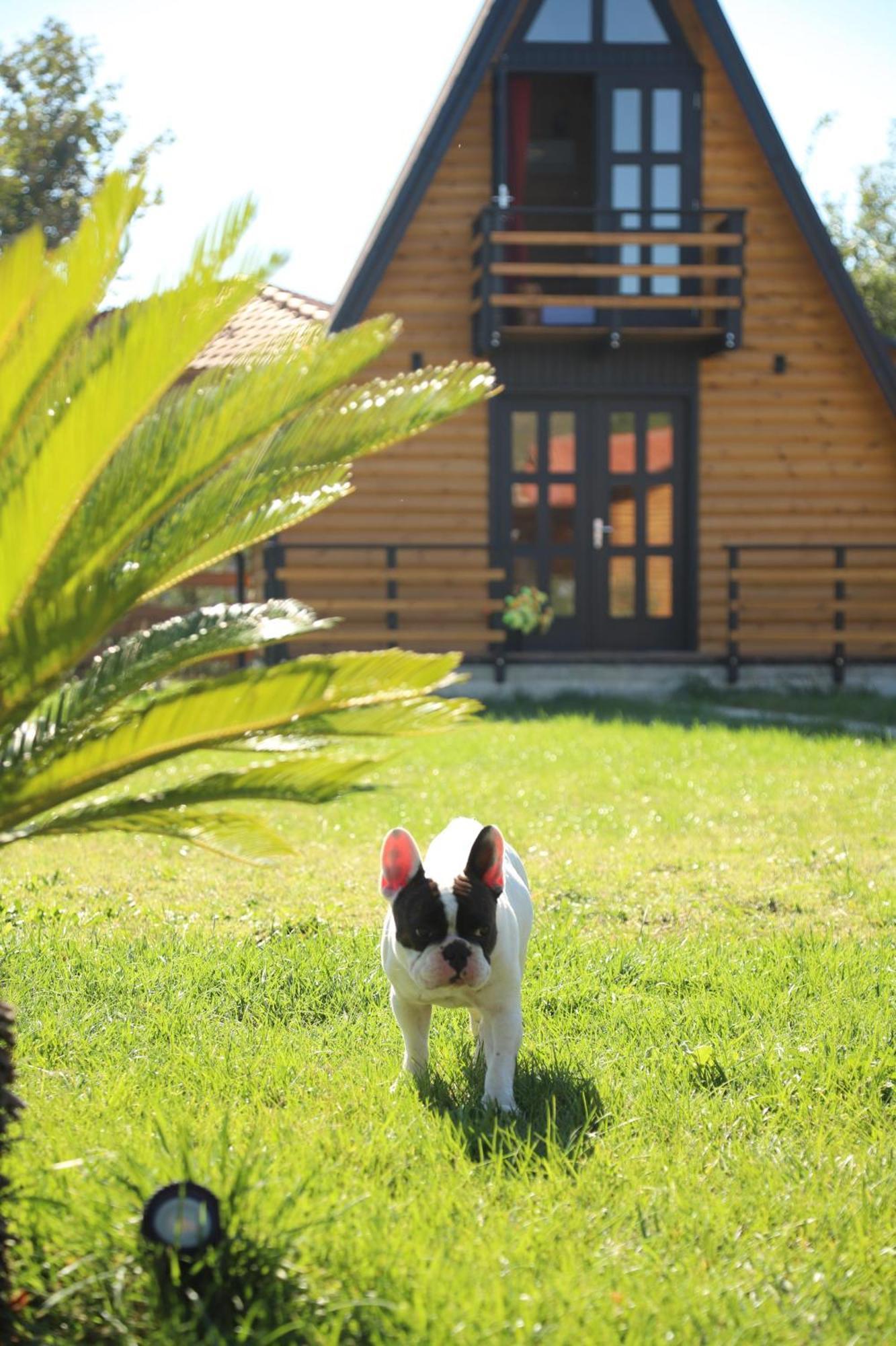 Sancho Farm Albania Villa Memaliaj Dış mekan fotoğraf