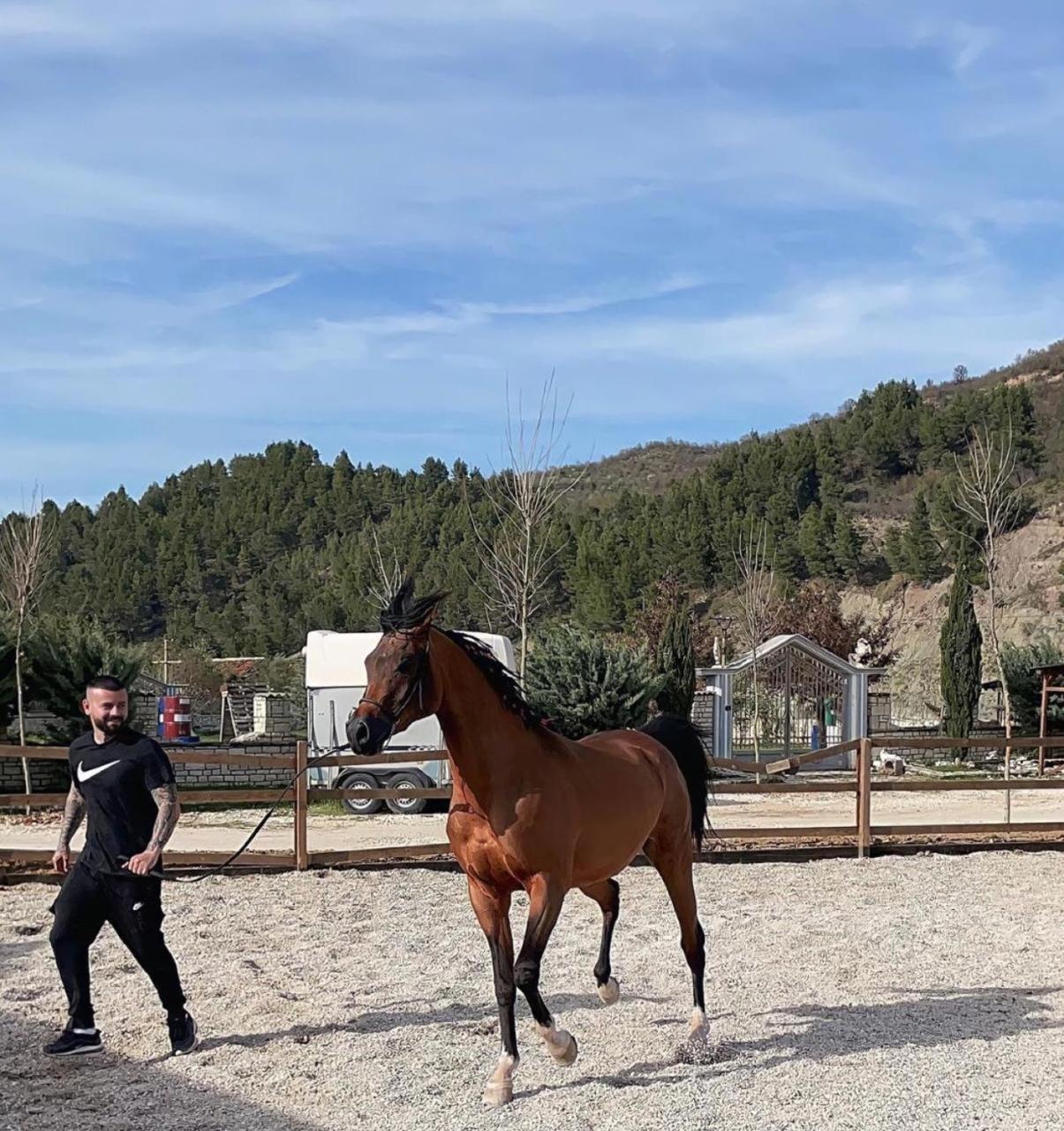 Sancho Farm Albania Villa Memaliaj Dış mekan fotoğraf