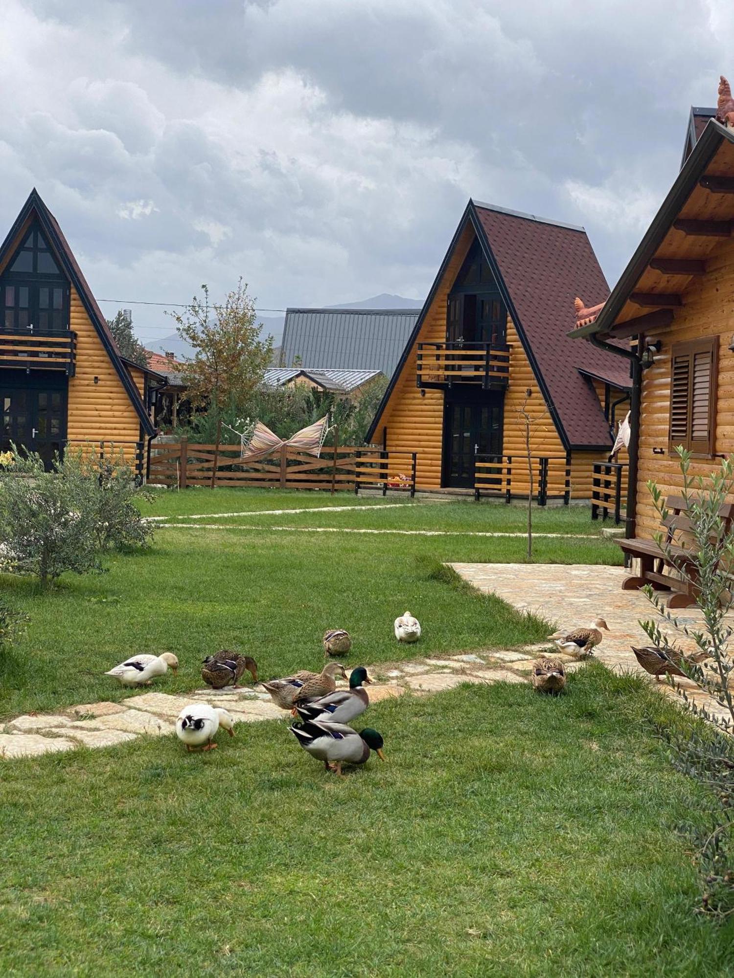 Sancho Farm Albania Villa Memaliaj Dış mekan fotoğraf