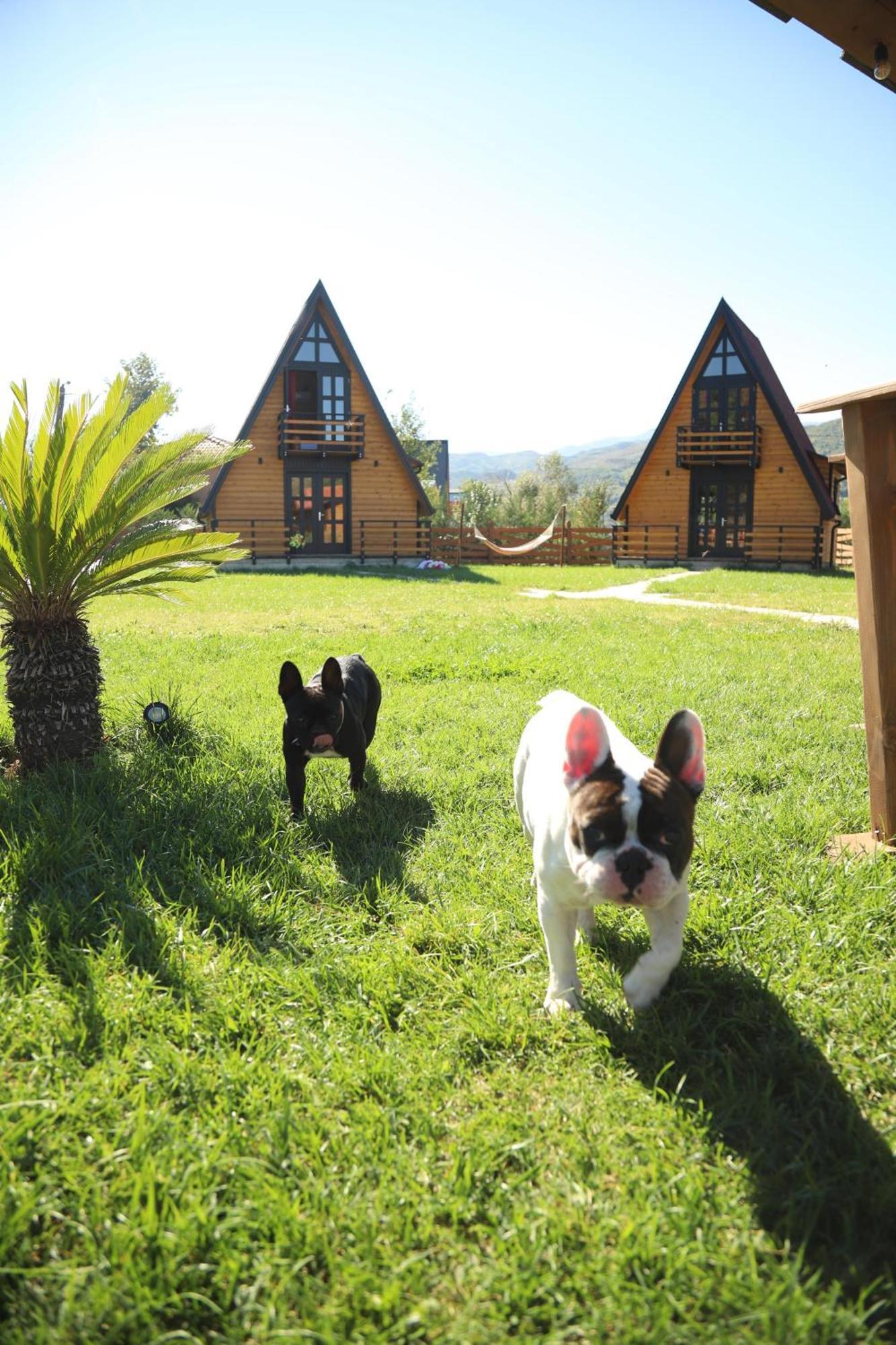 Sancho Farm Albania Villa Memaliaj Dış mekan fotoğraf