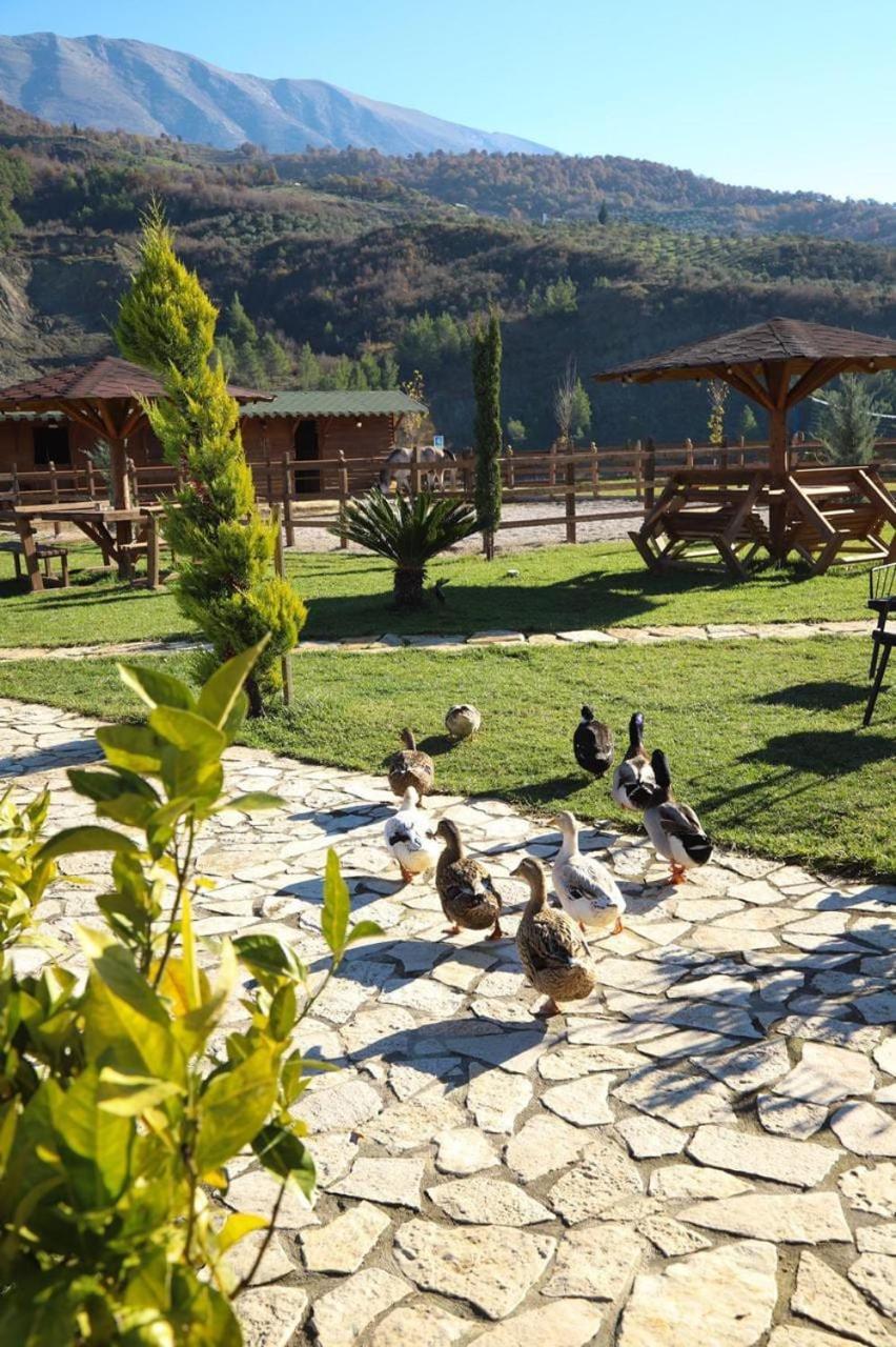 Sancho Farm Albania Villa Memaliaj Dış mekan fotoğraf