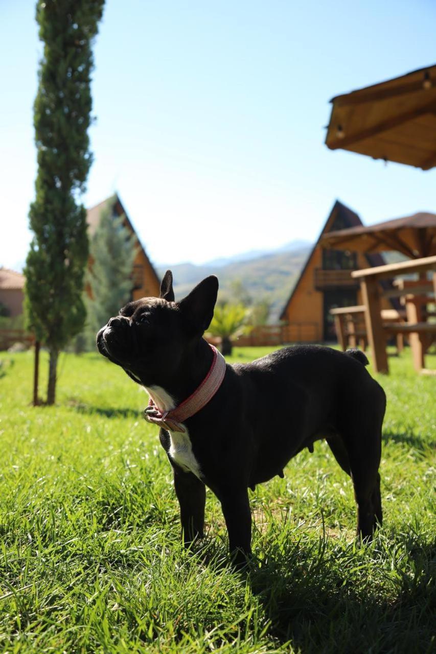 Sancho Farm Albania Villa Memaliaj Dış mekan fotoğraf